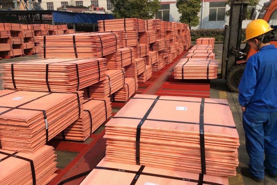 China Jiangsu Xintaiming Technology Co., Ltd. Perfil da companhia